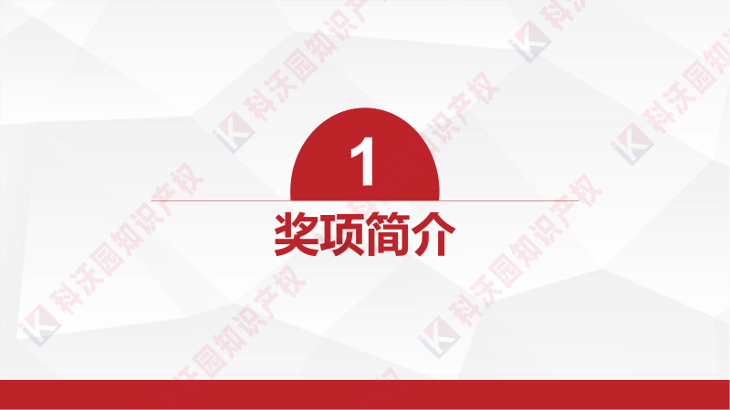 中國產學研合作創新與促進獎_02