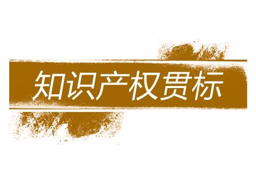 從知識產權貫標視角看初創科技企業知識產權風險防范